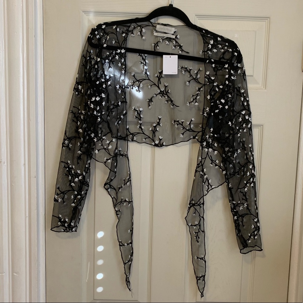 Cropped Sheer Crop Top